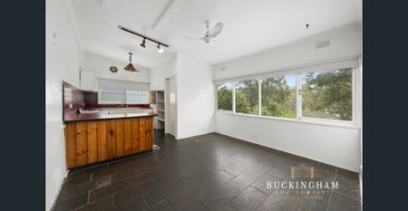 Marvellous Monty - Photo 4