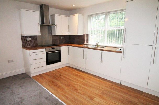 Montpelier House Montpelier Terrace Sunderland - Photo 1