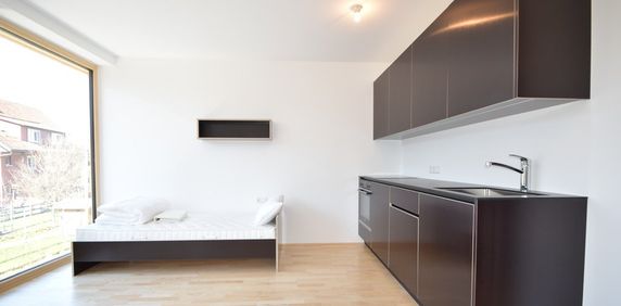 Single Apartment - Photo 2