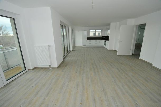 Am Ufer der Havel! eine komplette Ebene für sich alleine - Photo 1