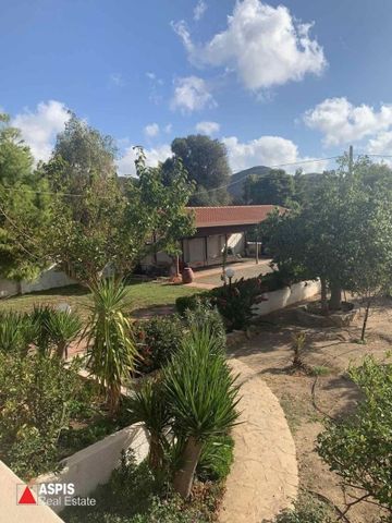 Ενοικίαση κατοικίας, 190 τ.μ., Παλαιά Φώκαια, 3.500 € - Photo 3