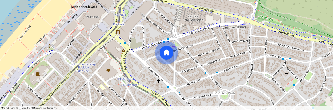 Bosschestraat 33, Den Haag