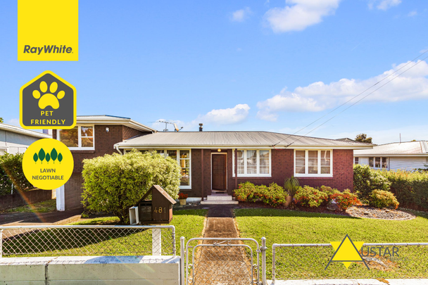 481 Richardson Road, Mount Roskill - Photo 1