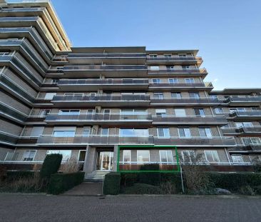 Gerenoveerde studio met aparte slaaphoek, terras en parking - Foto 5