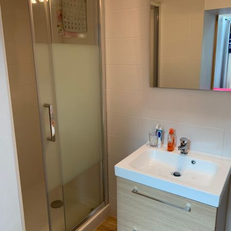 Location Appartement 1 pièce 16m² - Photo 4