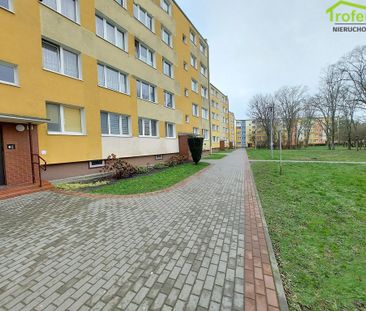 Grudziądz - Photo 6