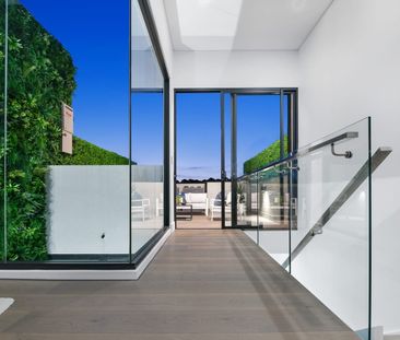 39B Daphne Street, Botany NSW 2019 - House For Rent | Domain - Photo 1
