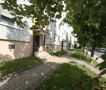 Gemütliche 2-Raum-Wohnung in Lusan - Foto 1