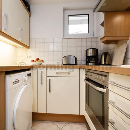 Modern Single Living - Photo 5