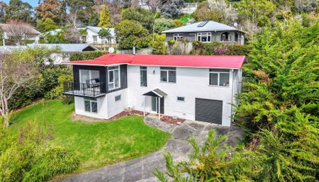 4 Bedroom home on Durie Hill - Photo 4