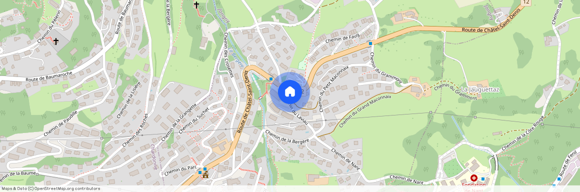 Chemin du Tilleul 1 1805 Jongny