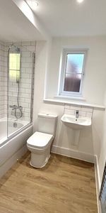 Butterfly Close - Photo 4