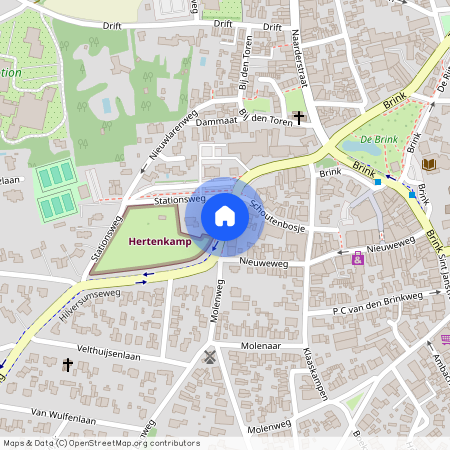 Laren-Centrum, 1251 KH, Burgemeester van Nispen van Sevenaerstraat, Laren