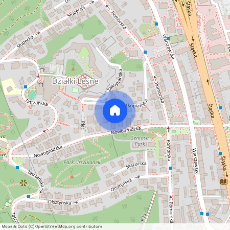 Gdynia Działki Leśne