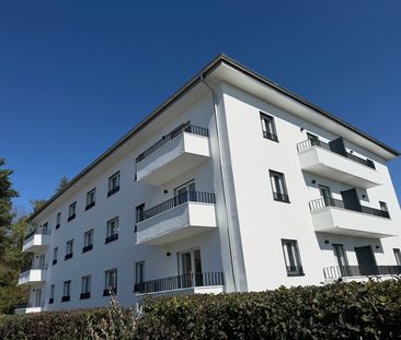 2.5 Zimmer, 54 m², EG - Photo 6