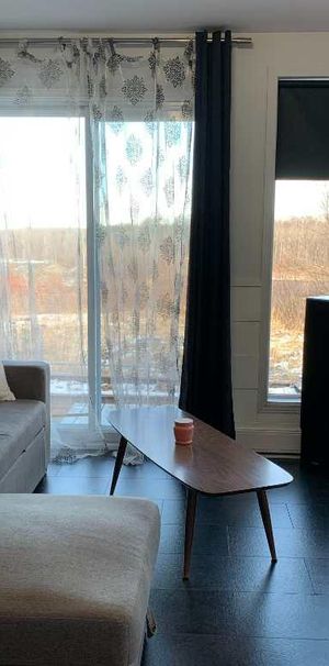 ENTREPRENEURS / COMMERÇANTS / BI-GÉNÉRATION : 5 1/2 + un loft à louer - Photo 1