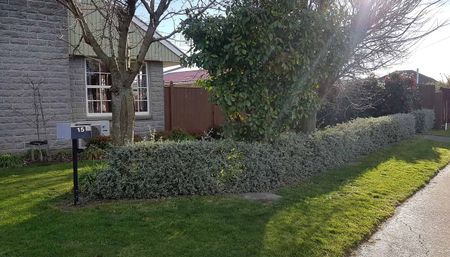 Sunny 3BR Home with garden! - Photo 3