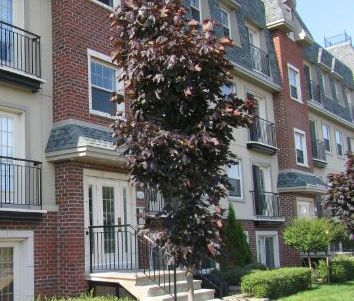 Grand 4 1/2 style condo - Photo 4