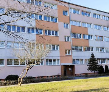 Łódź, Łódź-Bałuty, Bałuty, Parcelacyjna - Photo 4