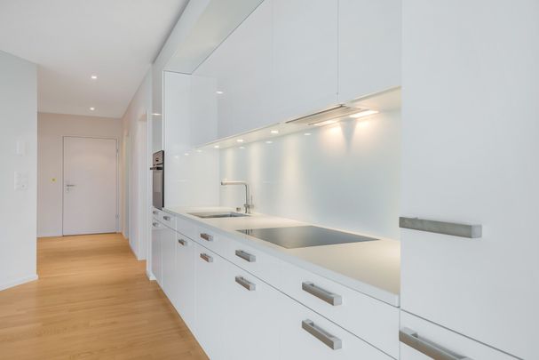 Beautiful attic apartment with modern infrastructure - Photo 1