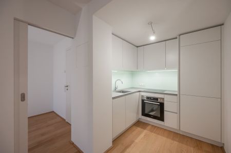 EDUART-Die Kunst des Wohnens: Hochwertiger 2-Zimmer NEUBAU-ZWEITBEZUG im Erdgeschoss! (6/1) - Photo 4