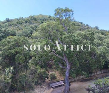 Attico via delle Buche, Porto Ercole, Monte Argentario - Photo 5
