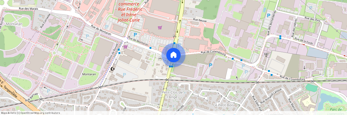 Marcellin berthelot, Fleury-les-Aubrais France