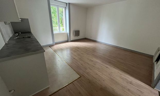 Location Appartement 2 pièces LIMOGES (87100) - Photo 1
