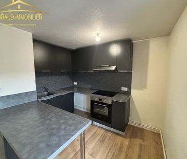 Location Appartement 1 pièce 30m² CHARLIEU 42190 - Photo 3