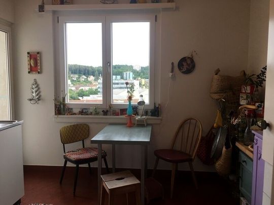 4-ROOM APARTMENT IN SCHAFFHAUSEN, FURNISHED, TEMPORARY - Photo 1