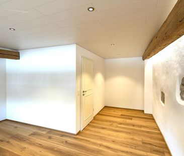 Zentral, luxuriös, neu renoviert mit grossem Balkon und Aussicht - Photo 4