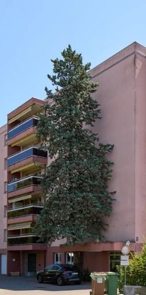 Appartement de 3,5 pièces au 1er étage entièrement rénové - Photo 2