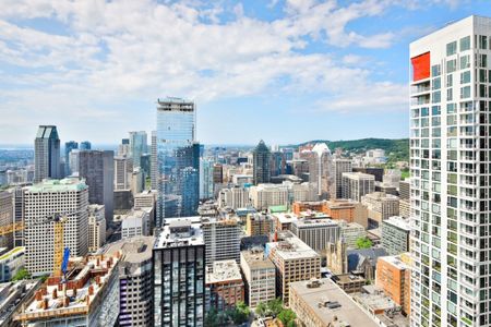 Appartement à louer - Montréal (Ville-Marie) (Centre) - Photo 4