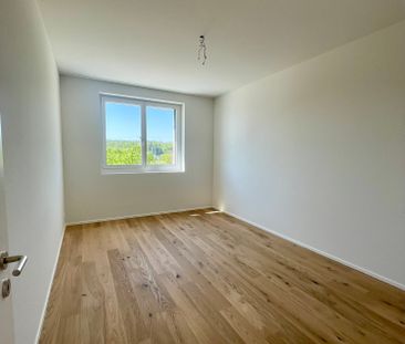 2.5 Zimmer, 73 m², 1. Stock - Foto 1