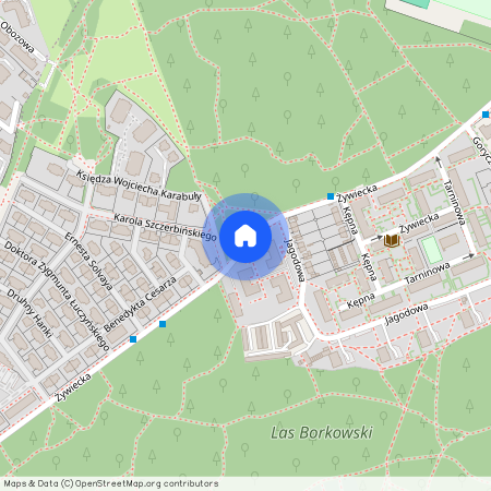 ul. Żywiecka, Borek Fałęcki, Łagiewniki-Borek Fałęcki, Kraków, małopolskie