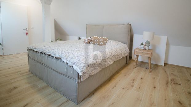 CHARMING, SUNNY AND TOP-MODERN - Photo 1