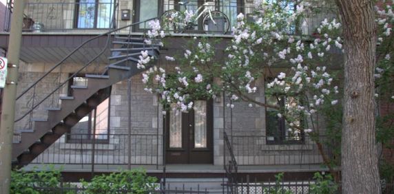 4 1/2 - Montréal (Hochelaga / Maisonneuve) - 1 375 $/mois - Photo 2