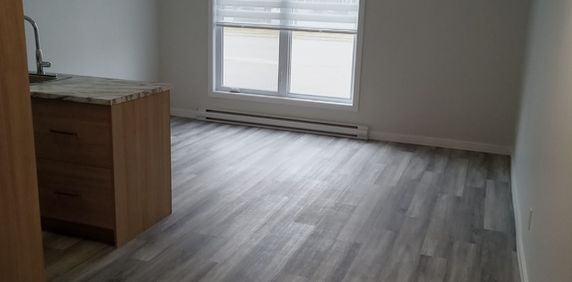 Charmant 3 1/2 (1 Chambre) Rénové - Photo 2