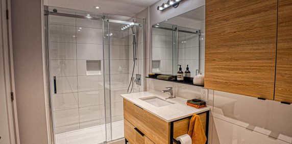 1 CH - 1 SDB - Montreal - $1,700 /mo - Photo 2