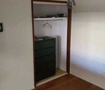 Manly West - Photo 5