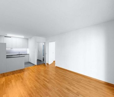 Quiet residential area near the University of Basel - Foto 5