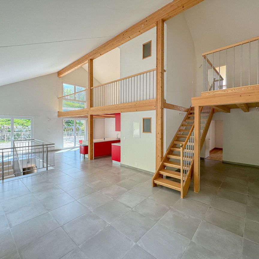 In the countryside 6.5-room duplex with garden terrace and garages - Foto 1