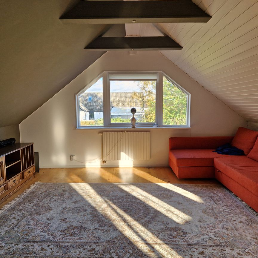 Murgrönegränd, Bara - Photo 1