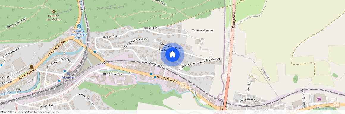 Chemin des Bosquet 5, 2740 Moutier