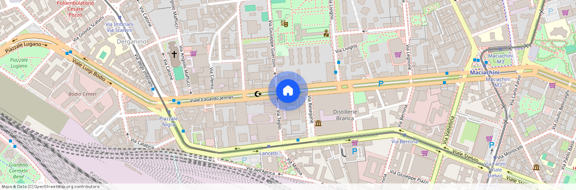 Viale Edoardo Jenner, Milan, Lombardy 20158