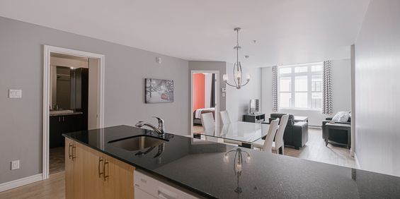 Arsenal Appartement 3 ½ à Louer Lévis Juillet 2025 - Photo 3