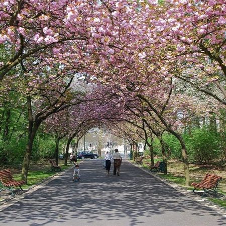 Appartement te huur - Foto 2