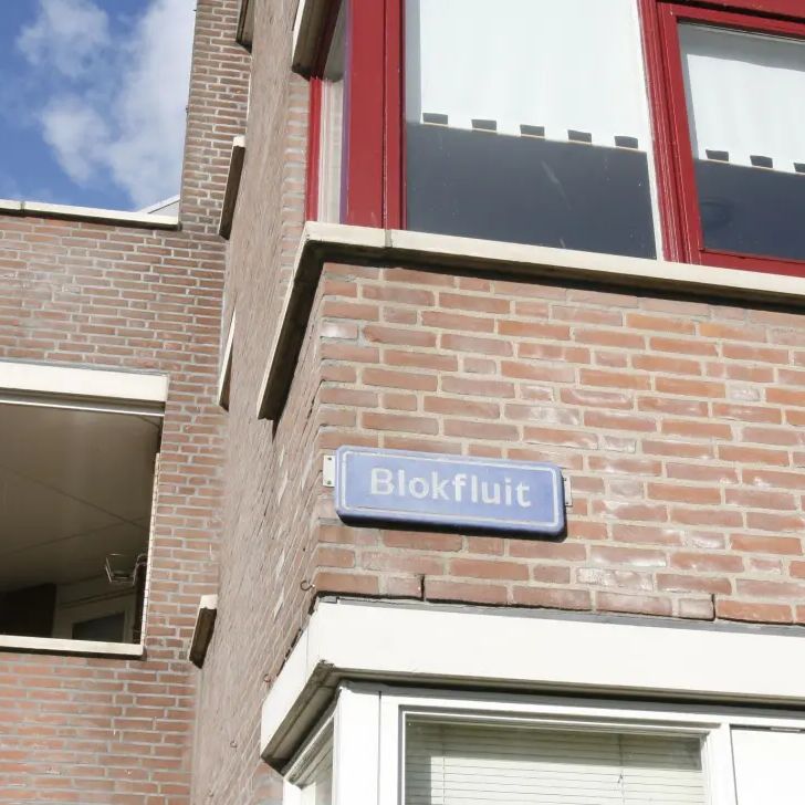 Blokfluit 21 - Foto 2