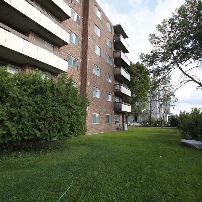 Collingwood Place - Photo 1