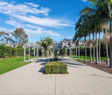 Q206/81-86 Courallie Avenue Homebush West - Photo 5